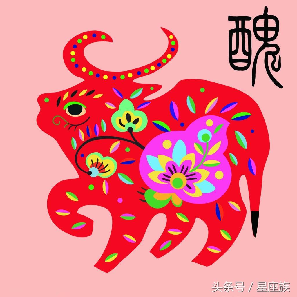 科普知识“财神十三张怎么才能牌比较好!详细分享装挂步骤
