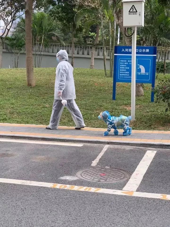 武汉疫情阶段数据:武汉疫情阶段数据图