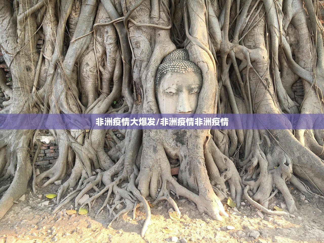 非洲疫情大爆发/非洲疫情非洲疫情