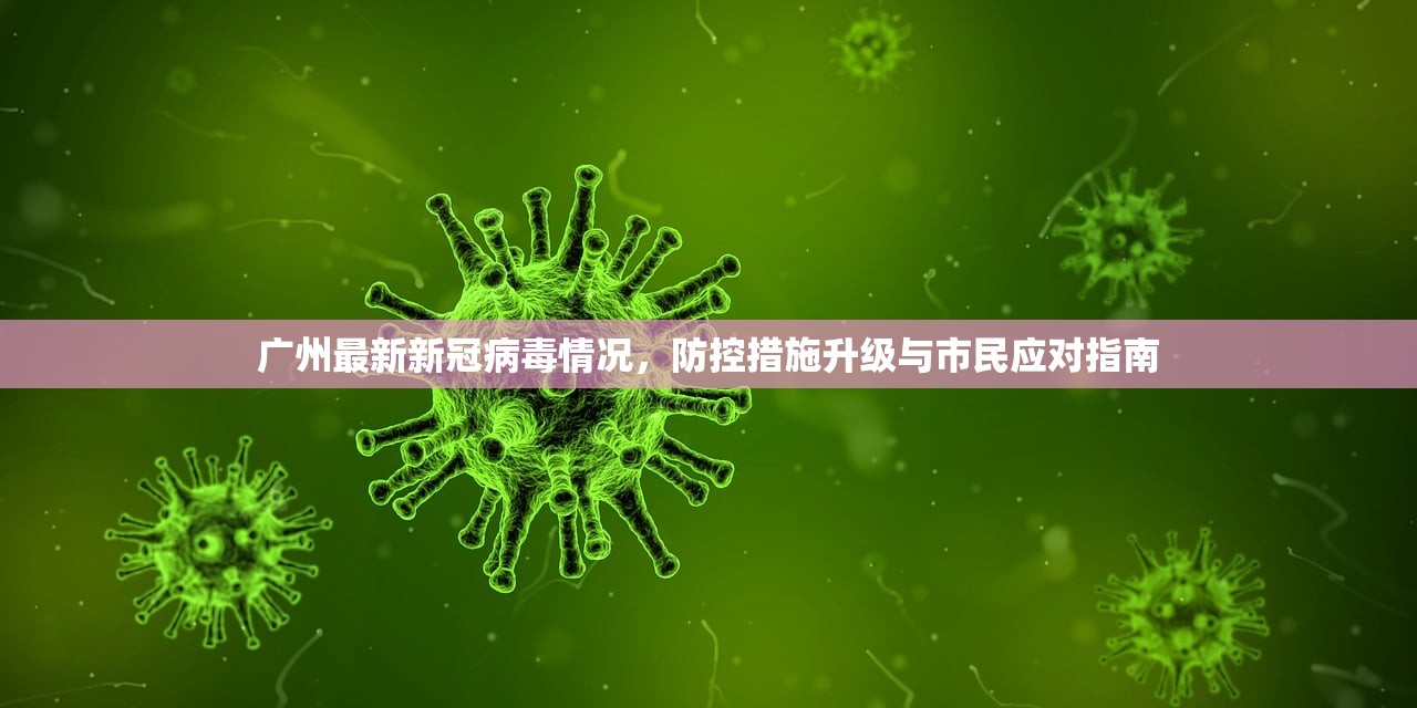 广州最新新冠病毒情况，防控措施升级与市民应对指南