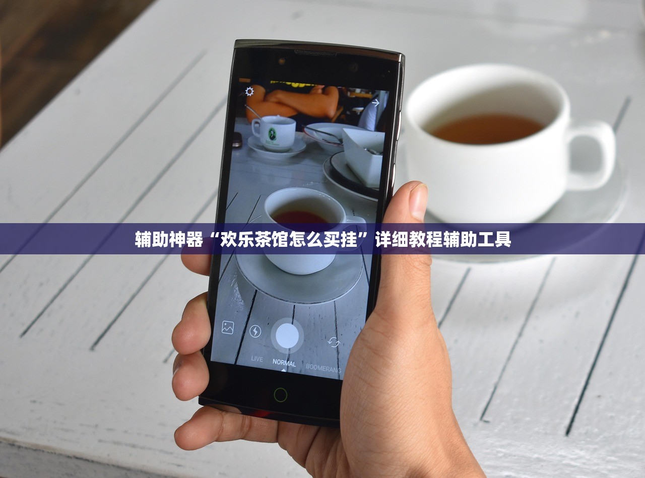 辅助神器“欢乐茶馆怎么买挂”详细教程辅助工具