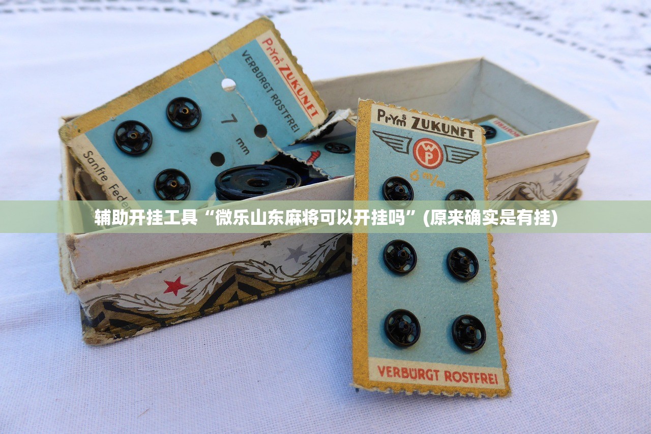 辅助开挂工具“微乐山东麻将可以开挂吗”(原来确实是有挂)
