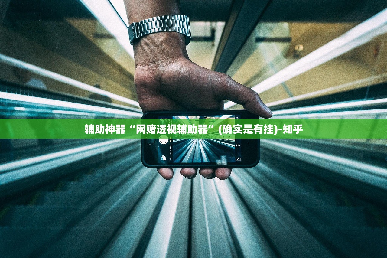 辅助神器“网赌透视辅助器”(确实是有挂)-知乎
