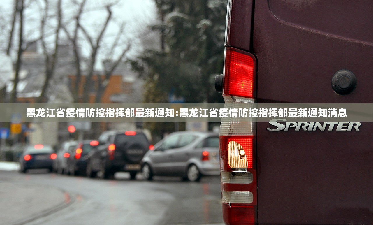 黑龙江省疫情防控指挥部最新通知:黑龙江省疫情防控指挥部最新通知消息