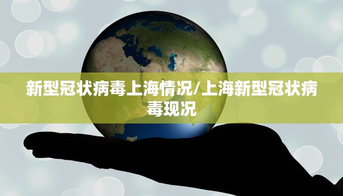新型冠状病毒上海情况/上海新型冠状病毒现况