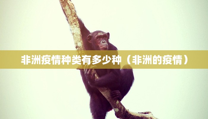 非洲疫情种类有多少种（非洲的疫情）