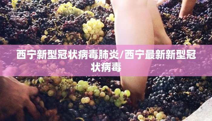西宁新型冠状病毒肺炎/西宁最新新型冠状病毒