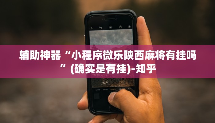 辅助神器“小程序微乐陕西麻将有挂吗”(确实是有挂)-知乎