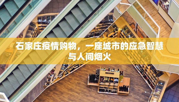 石家庄疫情购物，一座城市的应急智慧与人间烟火