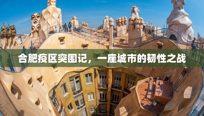 合肥疫区突围记，一座城市的韧性之战