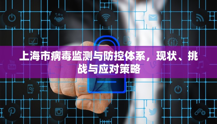 上海市病毒监测与防控体系，现状、挑战与应对策略