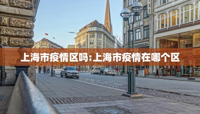 上海市疫情区吗:上海市疫情在哪个区